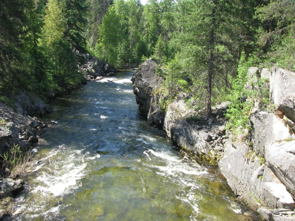 Photo: Recreation Sites and Trails BC. © Province of British Columbia, licensed under the Open Government Licence – British Columbia. Granby-Burrell Ck, photo 8