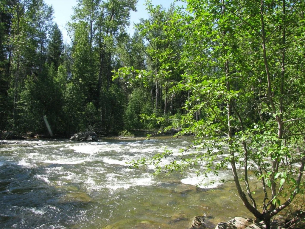 Photo: Recreation Sites and Trails BC. © Province of British Columbia, licensed under the Open Government Licence – British Columbia. Granby-Burrell Ck, photo 2