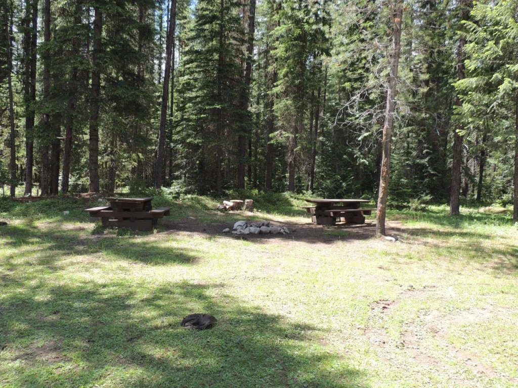 Photo: Recreation Sites and Trails BC. © Province of British Columbia, licensed under the Open Government Licence – British Columbia. Howe Creek, photo 4