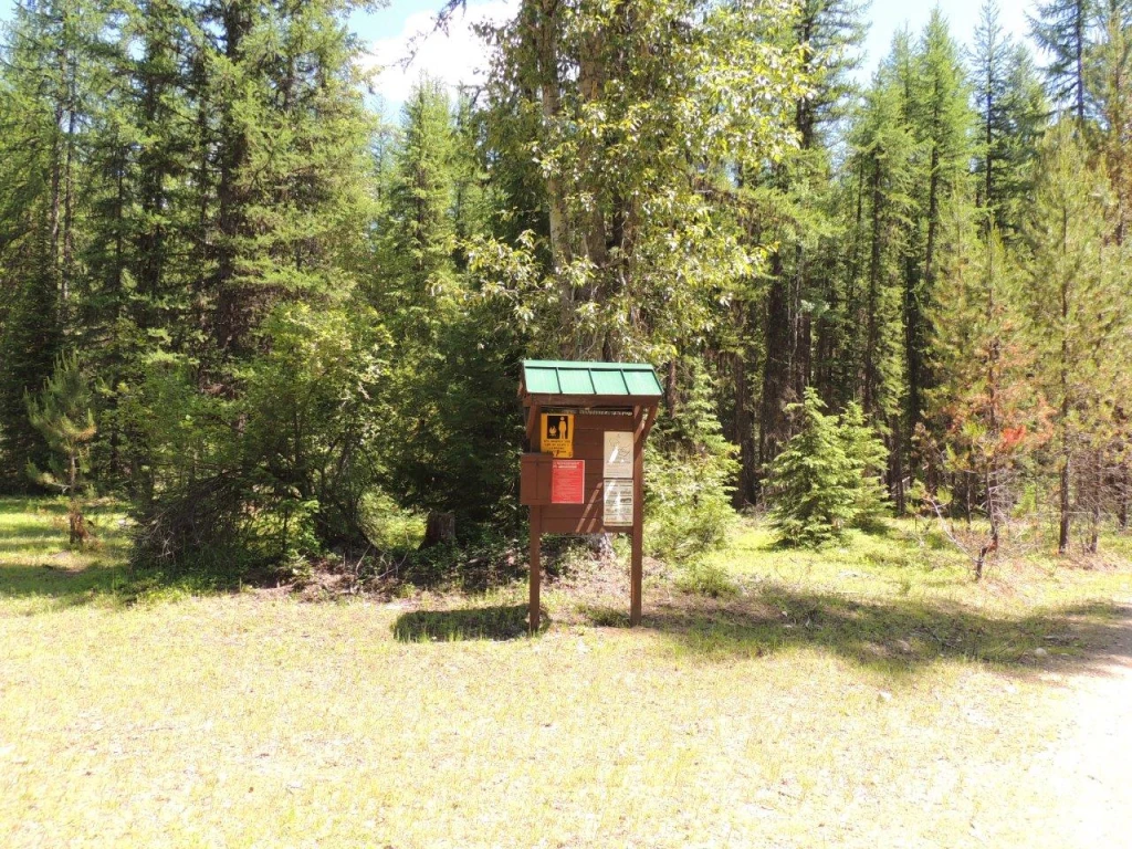 Photo: Recreation Sites and Trails BC. © Province of British Columbia, licensed under the Open Government Licence – British Columbia. Howe Creek, photo 3
