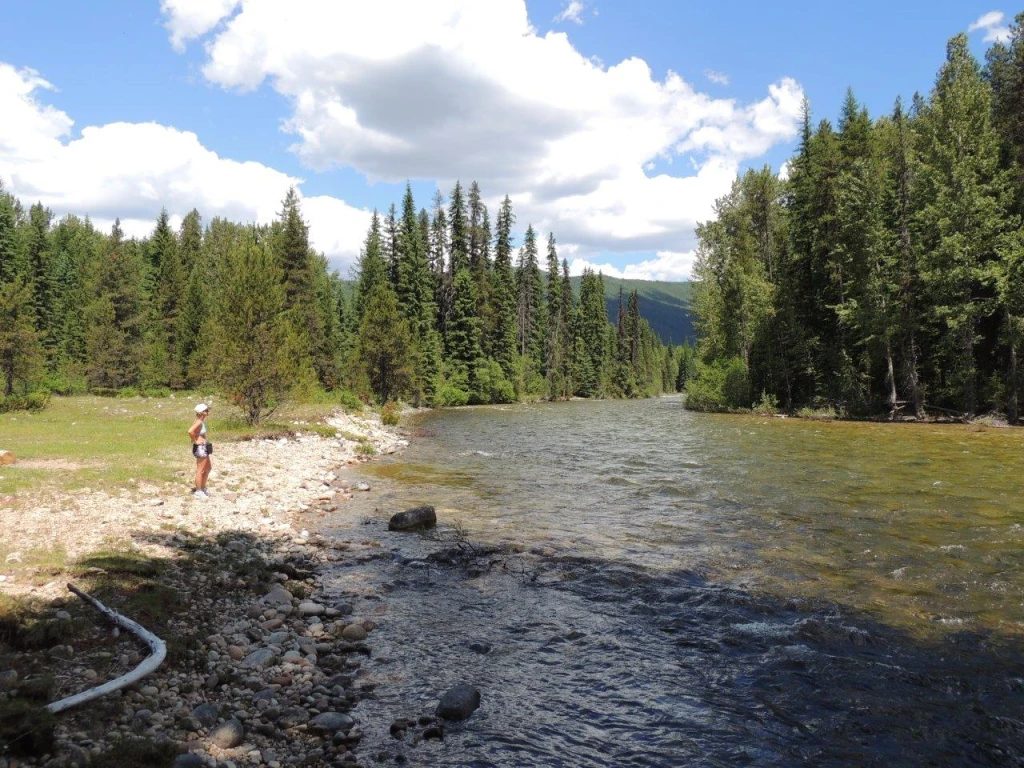 Photo: Recreation Sites and Trails BC. © Province of British Columbia, licensed under the Open Government Licence – British Columbia. Howe Creek, photo 2