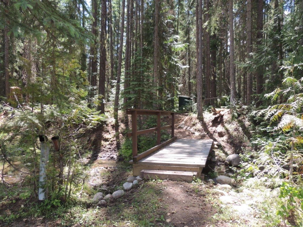 Photo: Recreation Sites and Trails BC. © Province of British Columbia, licensed under the Open Government Licence – British Columbia. Howe Creek, photo 6