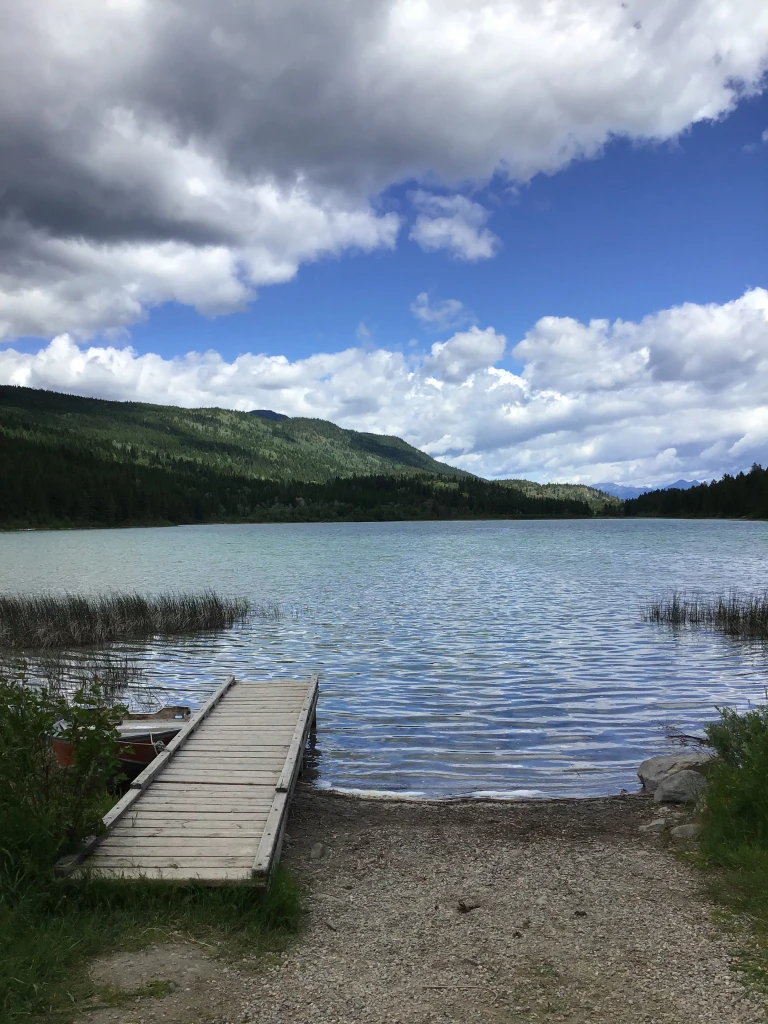 Photo: Recreation Sites and Trails BC. © Province of British Columbia, licensed under the Open Government Licence – British Columbia. Tamarack Lake, photo 5