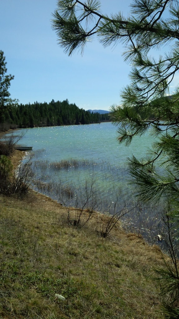 Photo: Recreation Sites and Trails BC. © Province of British Columbia, licensed under the Open Government Licence – British Columbia. Larchwood Lake