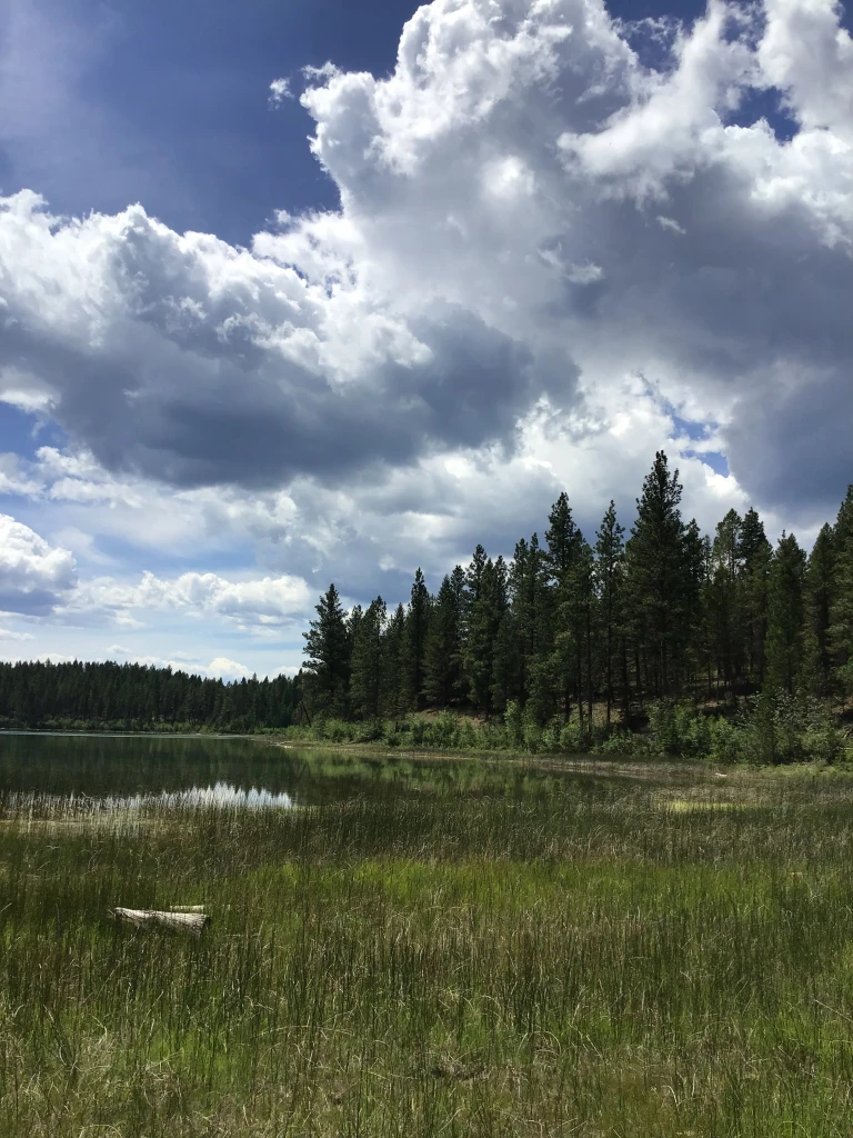 Photo: Recreation Sites and Trails BC. © Province of British Columbia, licensed under the Open Government Licence – British Columbia. Johnson Lake, photo 3