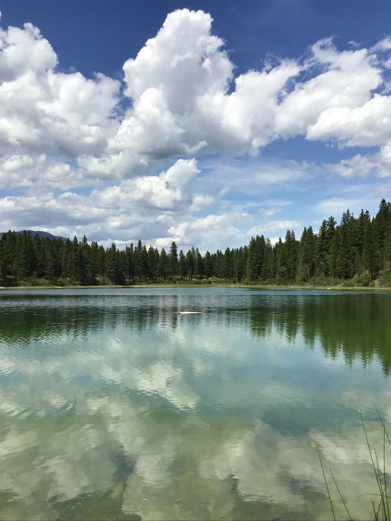 Johnson Lake