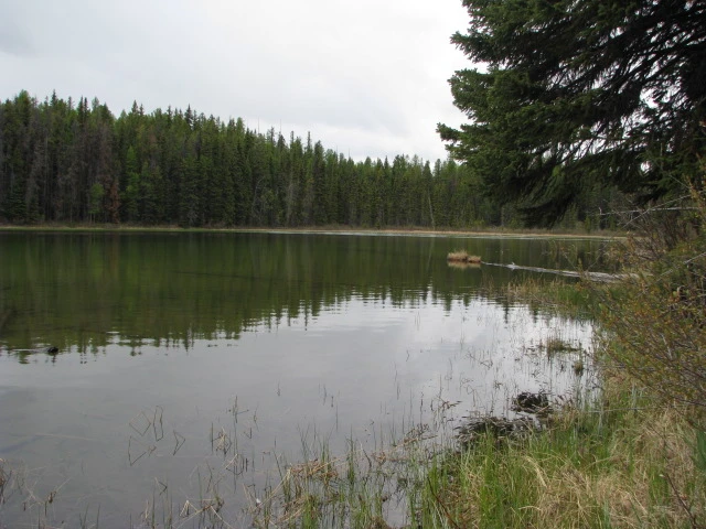 Photo: Recreation Sites and Trails BC. © Province of British Columbia, licensed under the Open Government Licence – British Columbia. Fenwick Lake, photo 2