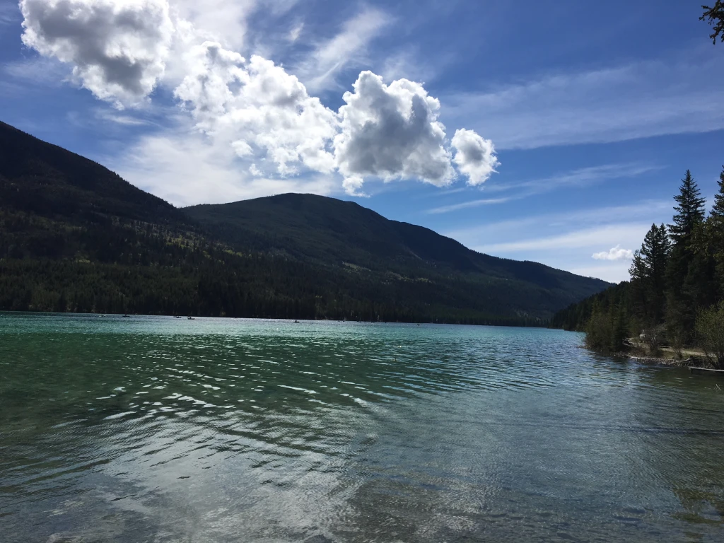 Photo: Recreation Sites and Trails BC. © Province of British Columbia, licensed under the Open Government Licence – British Columbia. Whitetail Lake, photo 2