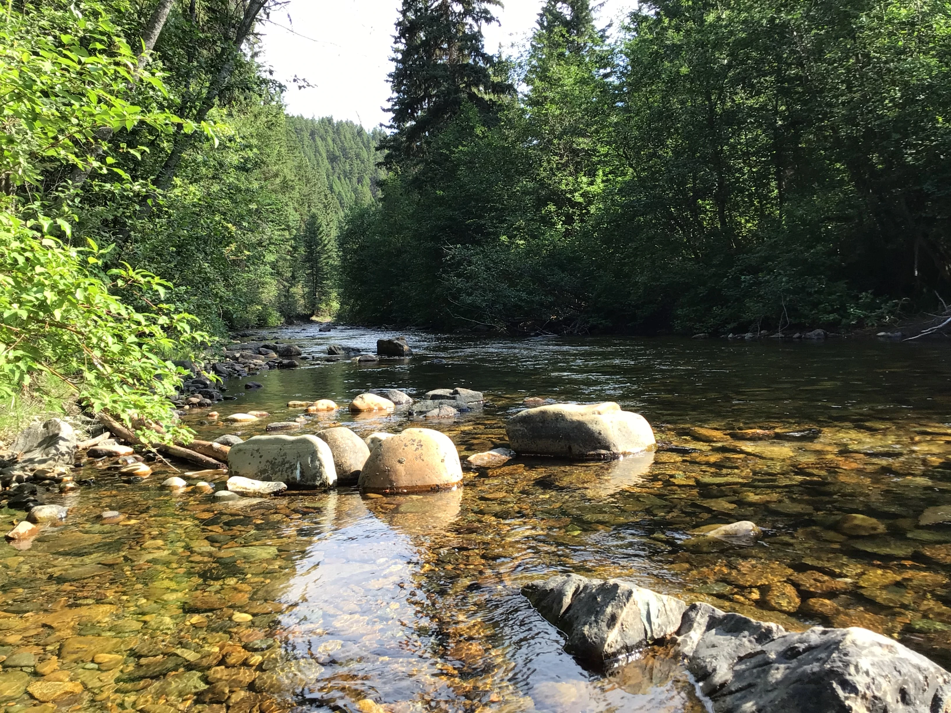 Photo: Recreation Sites and Trails BC. © Province of British Columbia, licensed under the Open Government Licence – British Columbia. Caven/Gold Creek, photo 2