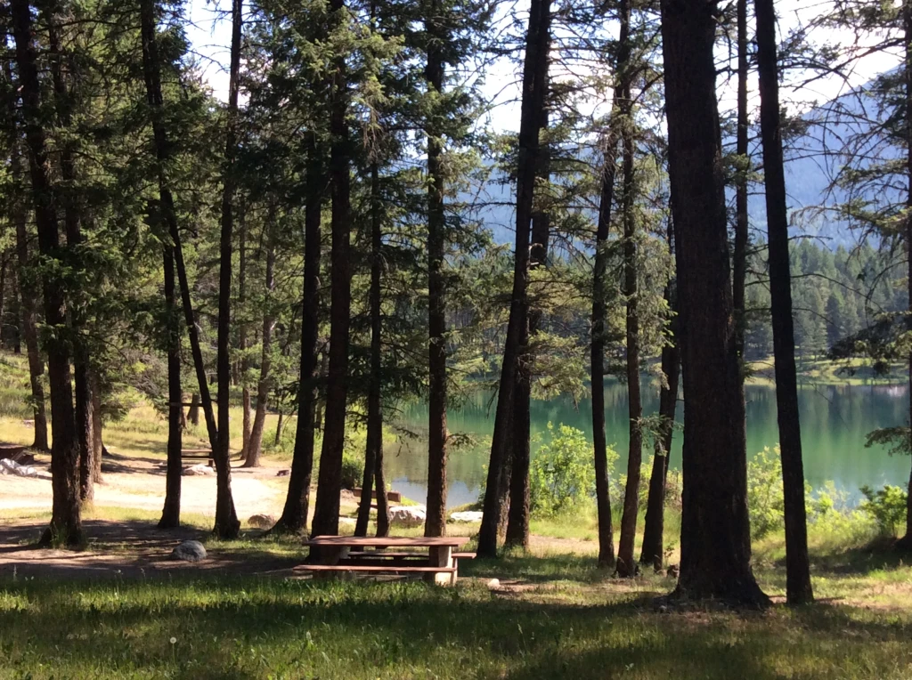 Photo: Recreation Sites and Trails BC. © Province of British Columbia, licensed under the Open Government Licence – British Columbia. Loon Lake, photo 6