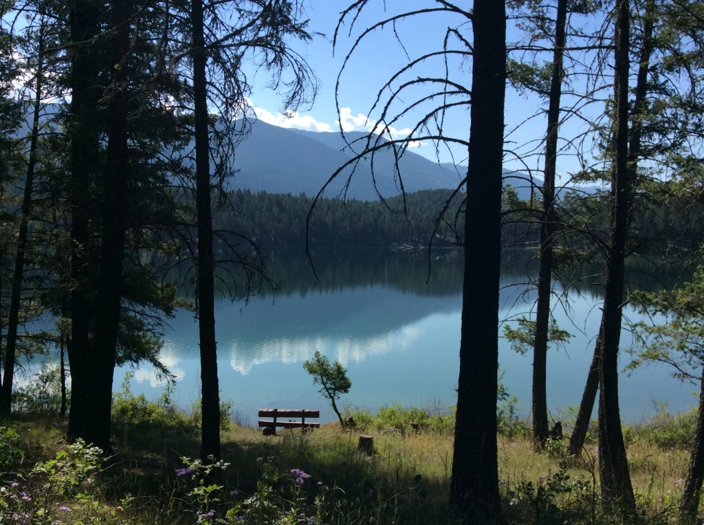 Photo: Recreation Sites and Trails BC. © Province of British Columbia, licensed under the Open Government Licence – British Columbia. Loon Lake, photo 5