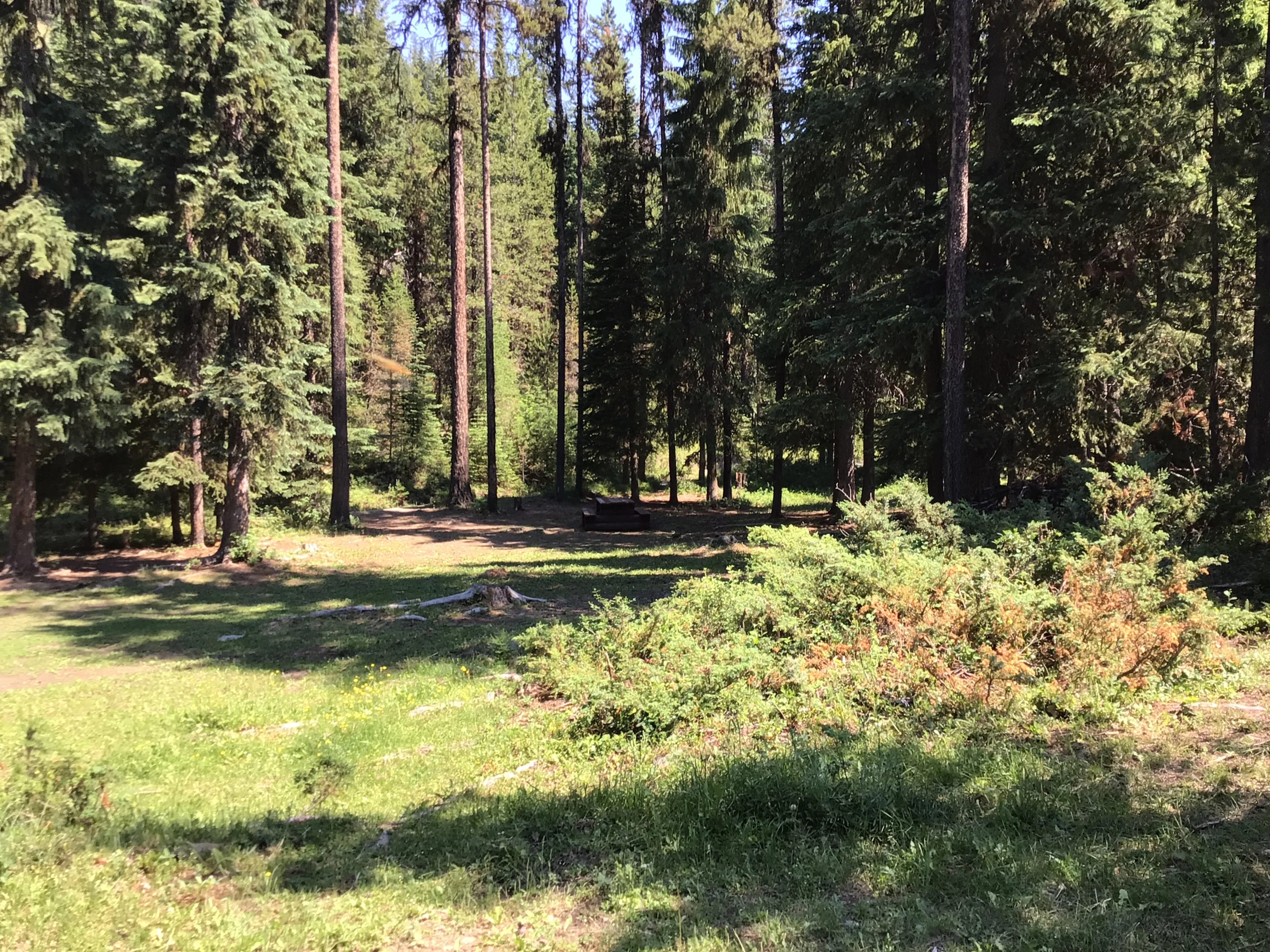 Photo: Recreation Sites and Trails BC. © Province of British Columbia, licensed under the Open Government Licence – British Columbia. 7 Mile Lake, photo 3