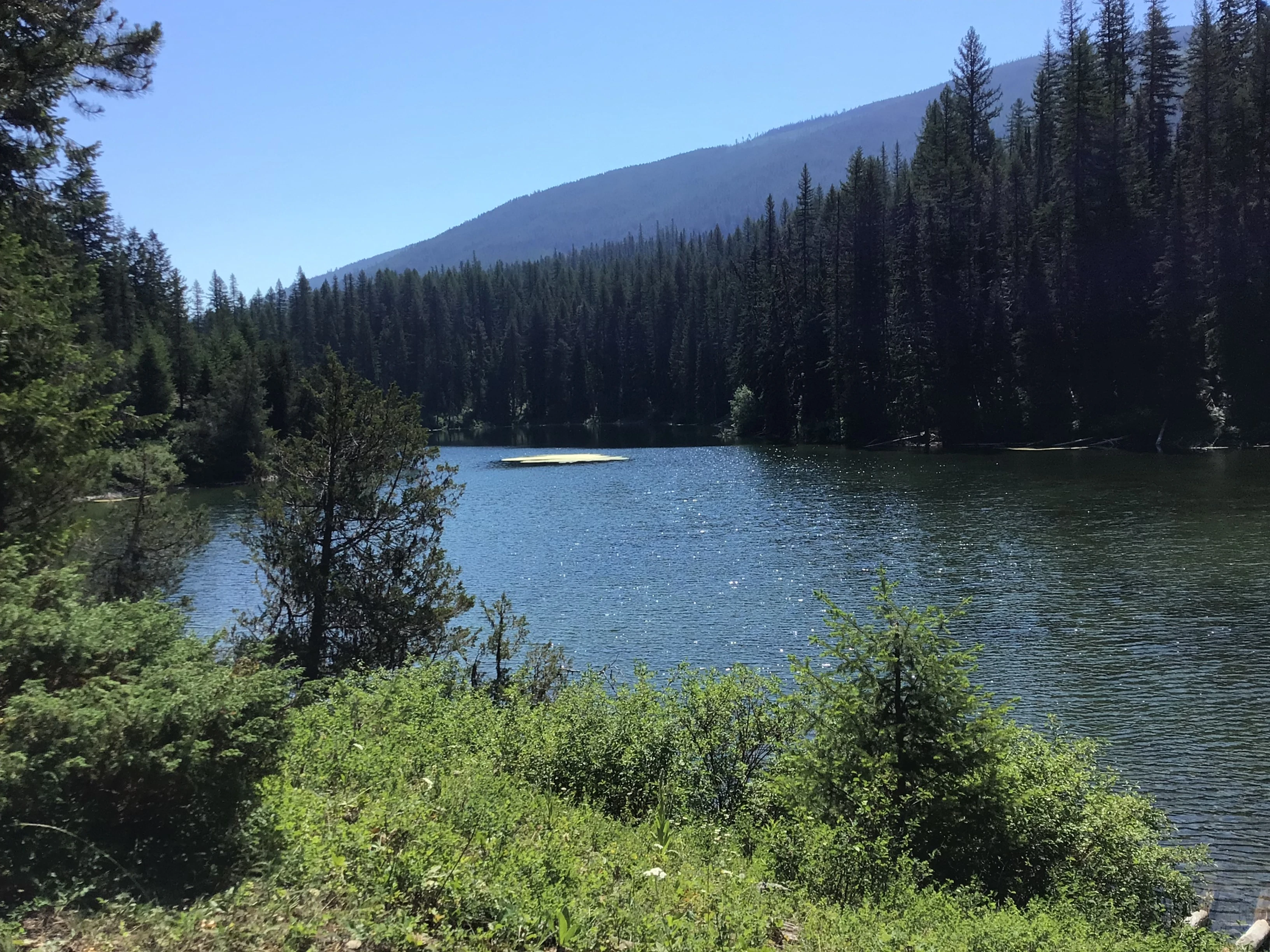 Photo: Recreation Sites and Trails BC. © Province of British Columbia, licensed under the Open Government Licence – British Columbia. 7 Mile Lake, photo 2