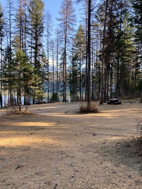 Photo: Recreation Sites and Trails BC. © Province of British Columbia, licensed under the Open Government Licence – British Columbia. Suzanne Lake, photo 5