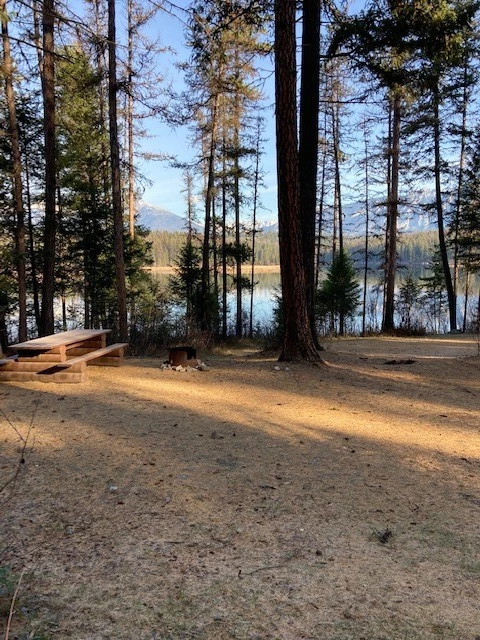Photo: Recreation Sites and Trails BC. © Province of British Columbia, licensed under the Open Government Licence – British Columbia. Suzanne Lake, photo 6