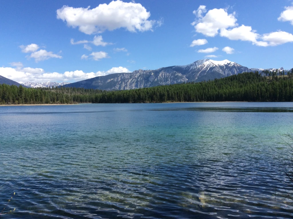 Photo: Recreation Sites and Trails BC. © Province of British Columbia, licensed under the Open Government Licence – British Columbia. Suzanne Lake