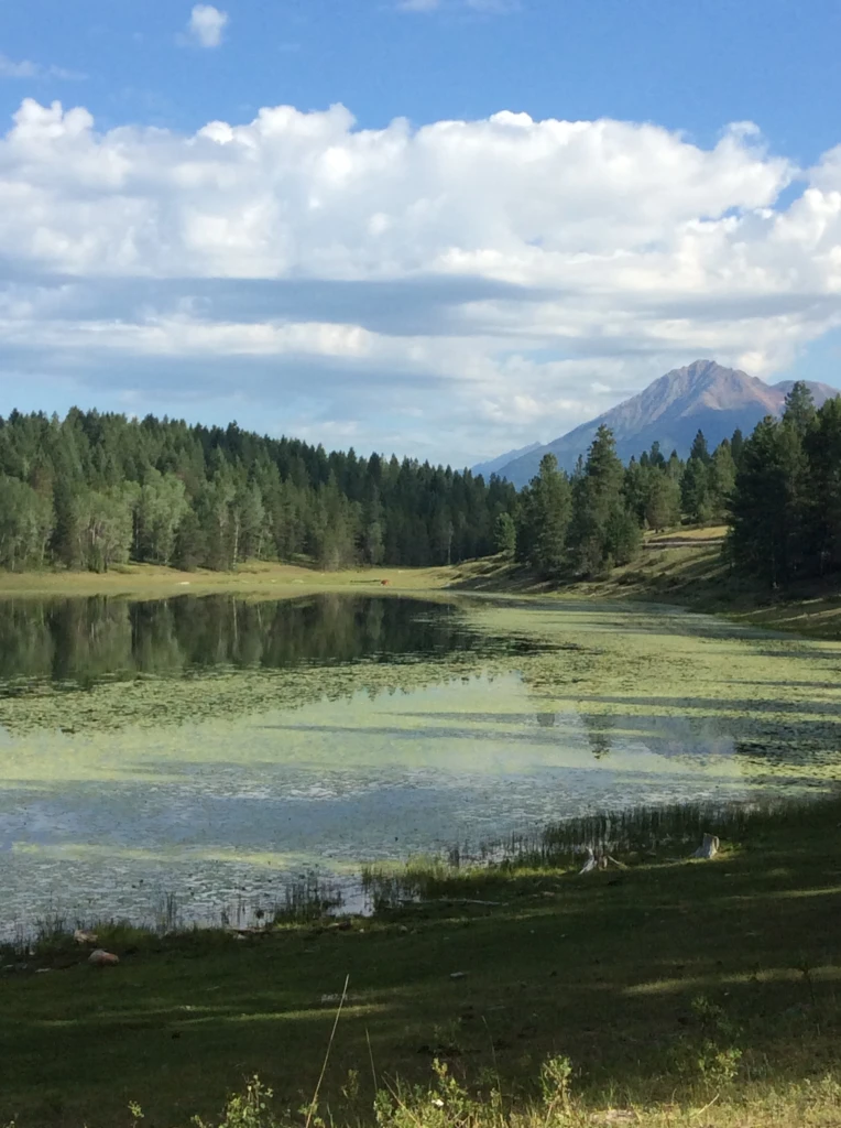 Photo: Recreation Sites and Trails BC. © Province of British Columbia, licensed under the Open Government Licence – British Columbia. Wapiti Lake, photo 2