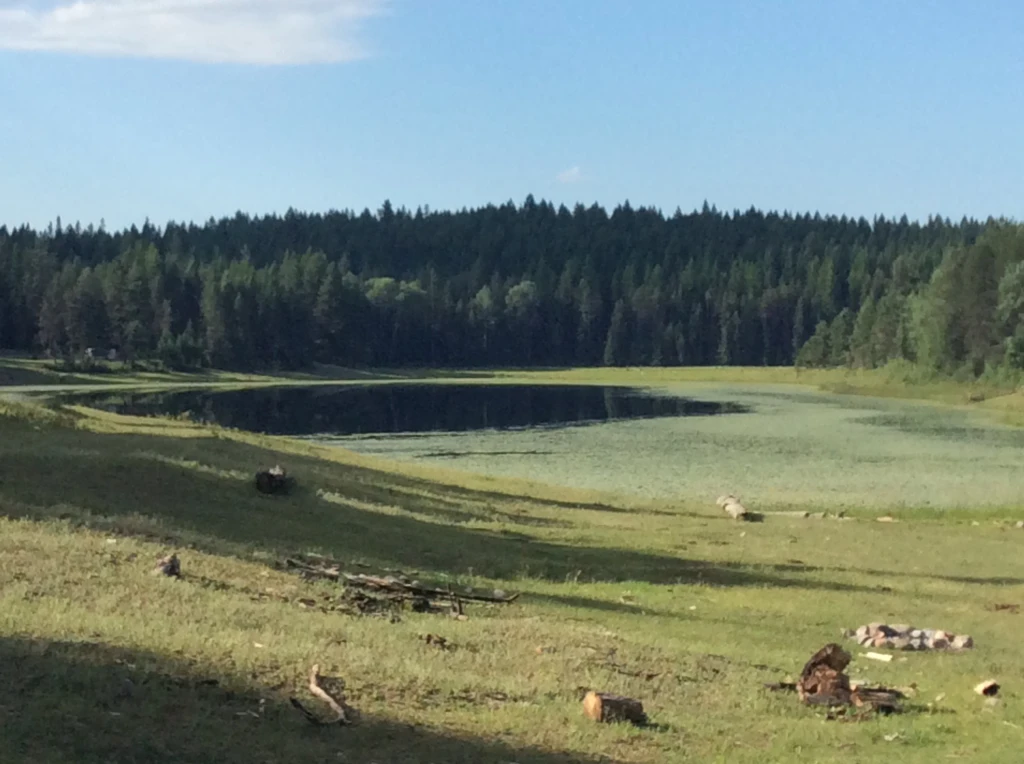 Photo: Recreation Sites and Trails BC. © Province of British Columbia, licensed under the Open Government Licence – British Columbia. Wapiti Lake