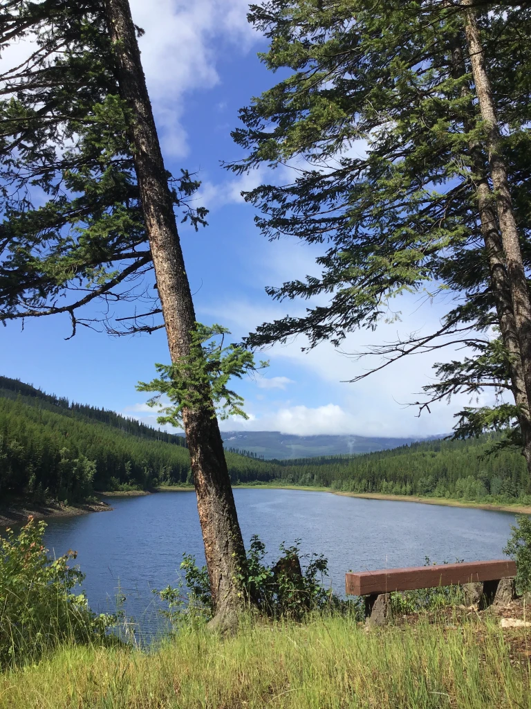 Photo: Recreation Sites and Trails BC. © Province of British Columbia, licensed under the Open Government Licence – British Columbia. Cherry Lake, photo 6