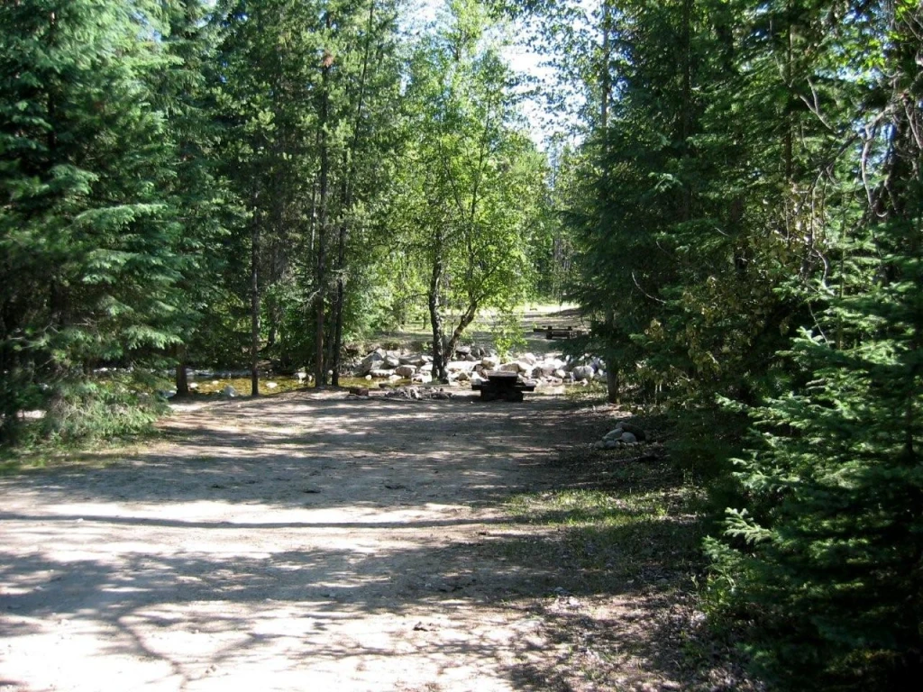 Photo: Recreation Sites and Trails BC. © Province of British Columbia, licensed under the Open Government Licence – British Columbia. Damfino Creek