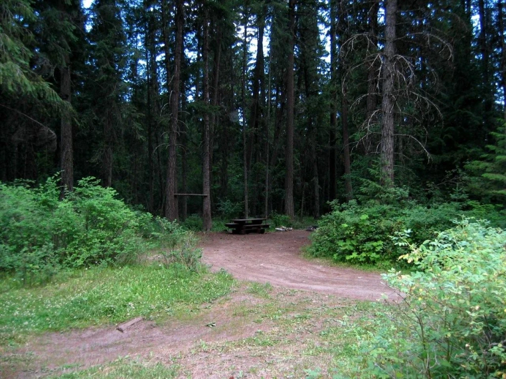 Photo: Recreation Sites and Trails BC. © Province of British Columbia, licensed under the Open Government Licence – British Columbia. Damfino Creek, photo 4