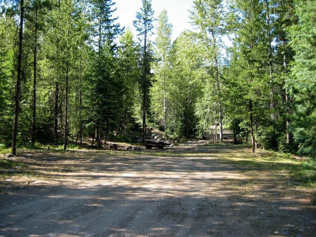 Photo: Recreation Sites and Trails BC. © Province of British Columbia, licensed under the Open Government Licence – British Columbia. Damfino Creek, photo 3
