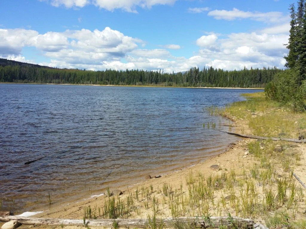 Photo: Recreation Sites and Trails BC. © Province of British Columbia, licensed under the Open Government Licence – British Columbia. Joan - Cleo Lake, photo 3