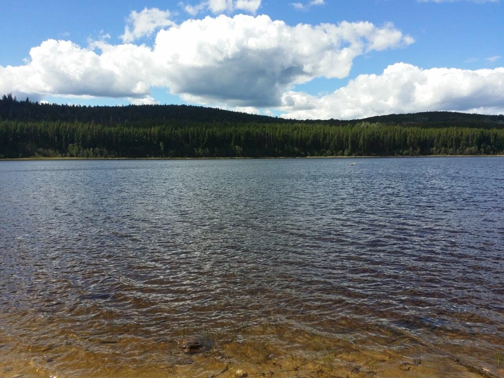 Photo: Recreation Sites and Trails BC. © Province of British Columbia, licensed under the Open Government Licence – British Columbia. Joan - Cleo Lake, photo 2