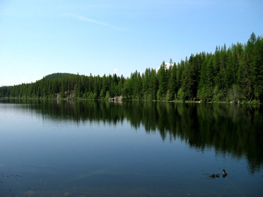 Photo: Recreation Sites and Trails BC. © Province of British Columbia, licensed under the Open Government Licence – British Columbia. Thone Lake