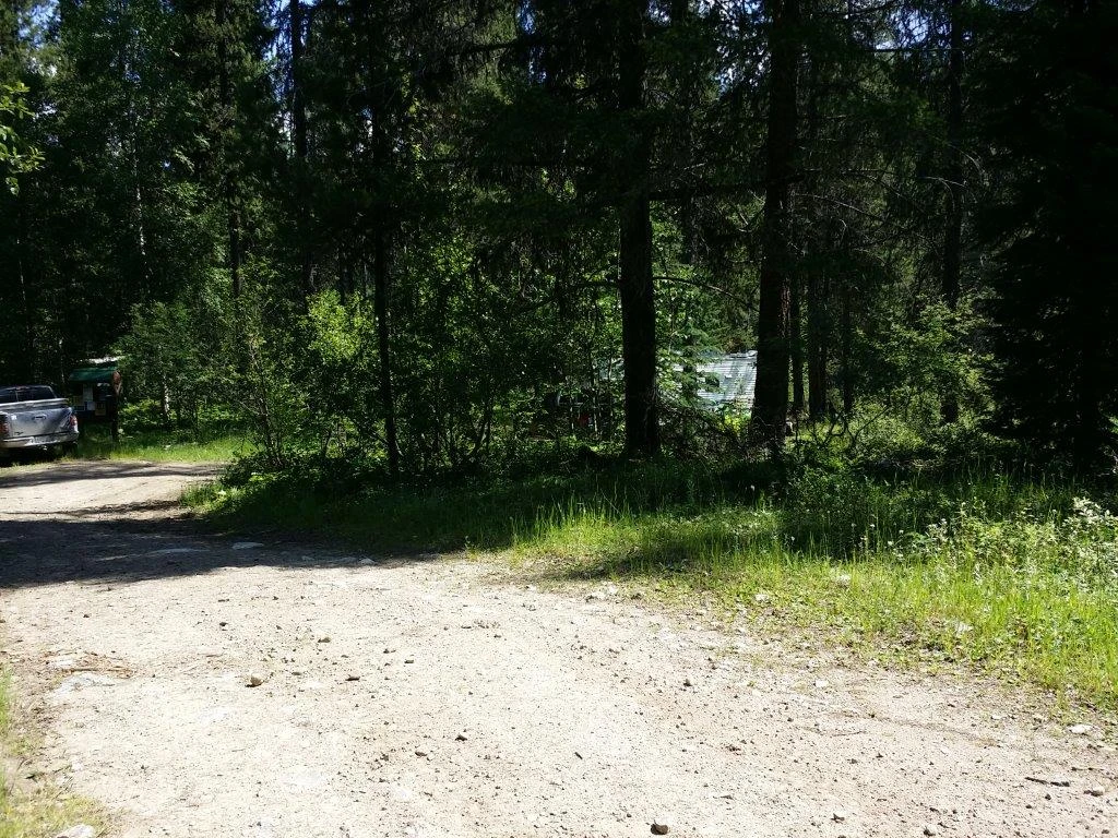 Photo: Recreation Sites and Trails BC. © Province of British Columbia, licensed under the Open Government Licence – British Columbia. Kettle River Xing, photo 2