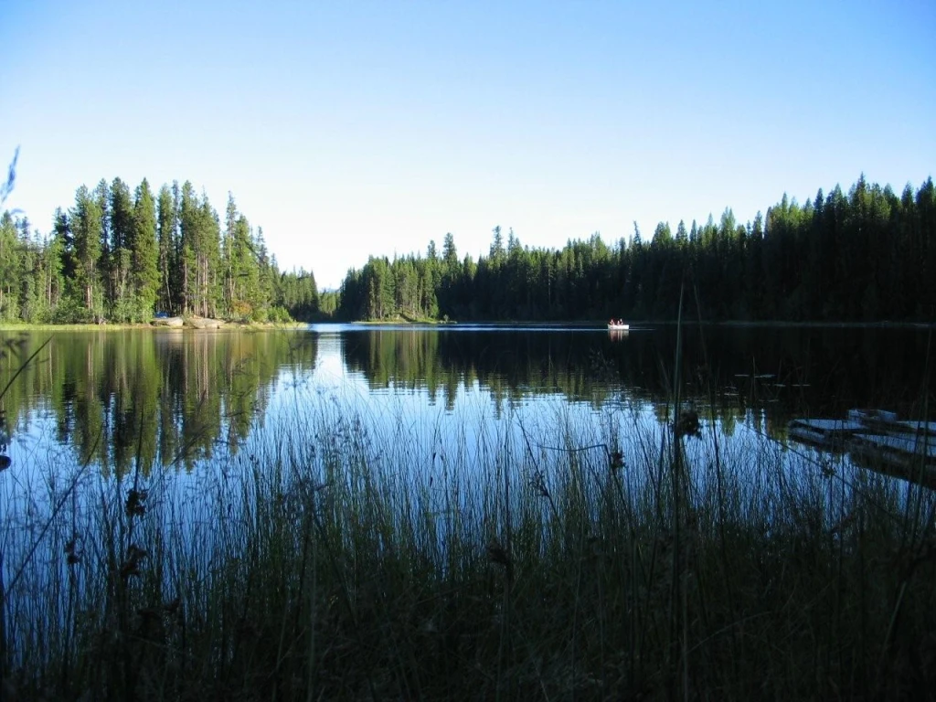 Photo: Recreation Sites and Trails BC. © Province of British Columbia, licensed under the Open Government Licence – British Columbia. Cup Lake, photo 2