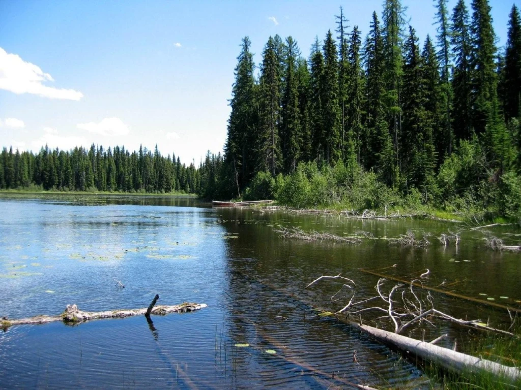 Photo: Recreation Sites and Trails BC. © Province of British Columbia, licensed under the Open Government Licence – British Columbia. Cup Lake