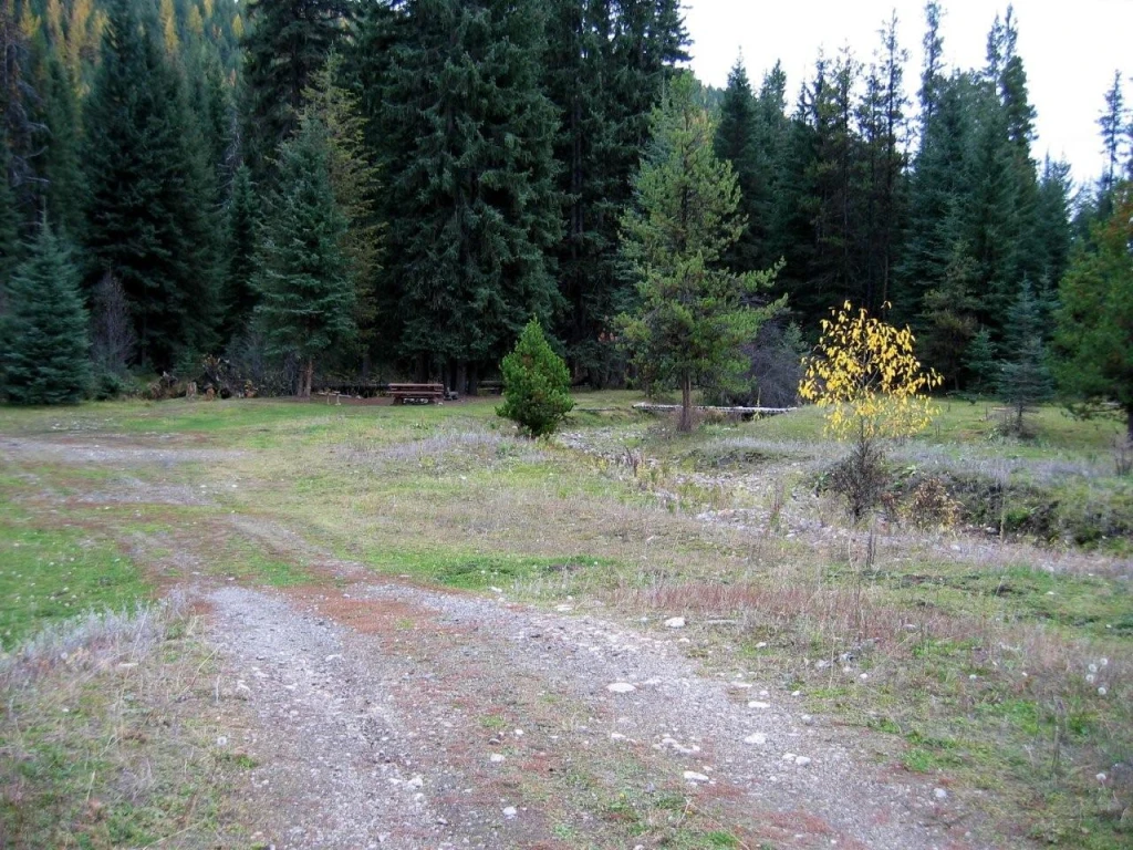 Photo: Recreation Sites and Trails BC. © Province of British Columbia, licensed under the Open Government Licence – British Columbia. Sago Creek, photo 2