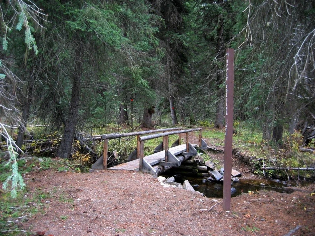 Photo: Recreation Sites and Trails BC. © Province of British Columbia, licensed under the Open Government Licence – British Columbia. Sago Creek, photo 3