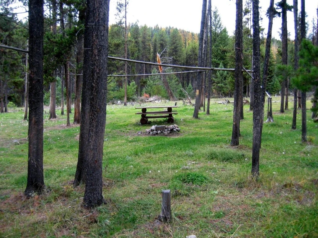 Photo: Recreation Sites and Trails BC. © Province of British Columbia, licensed under the Open Government Licence – British Columbia. Sago Creek