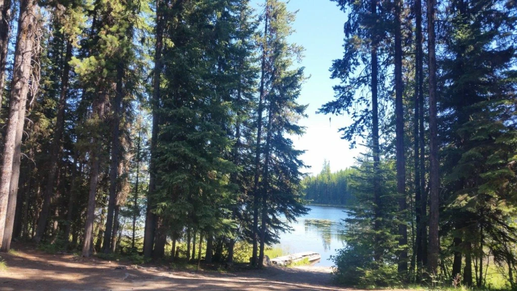 Photo: Recreation Sites and Trails BC. © Province of British Columbia, licensed under the Open Government Licence – British Columbia. Buck Lake, photo 3