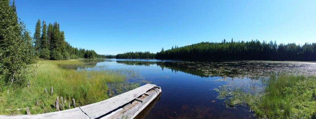 Photo: Recreation Sites and Trails BC. © Province of British Columbia, licensed under the Open Government Licence – British Columbia. Buck Lake, photo 2