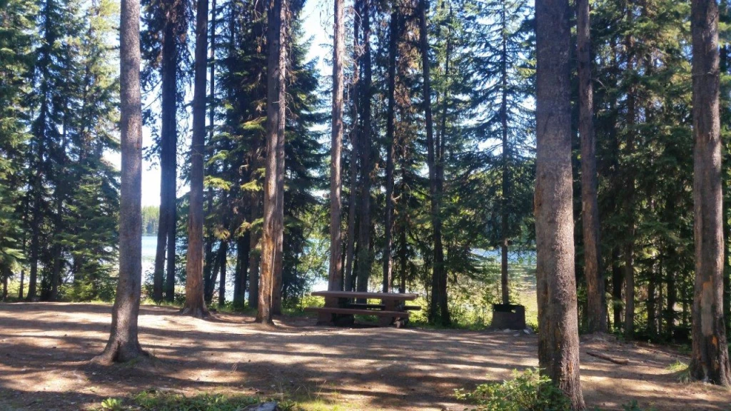Photo: Recreation Sites and Trails BC. © Province of British Columbia, licensed under the Open Government Licence – British Columbia. Buck Lake, photo 4