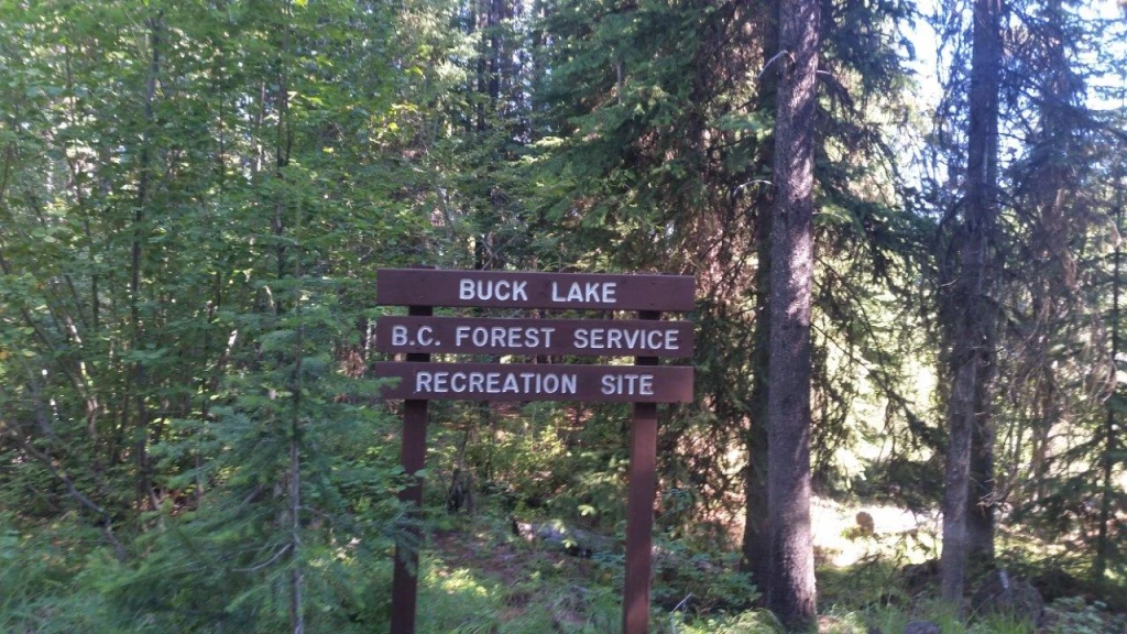 Photo: Recreation Sites and Trails BC. © Province of British Columbia, licensed under the Open Government Licence – British Columbia. Buck Lake, photo 5