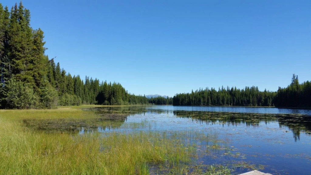 Photo: Recreation Sites and Trails BC. © Province of British Columbia, licensed under the Open Government Licence – British Columbia. Buck Lake