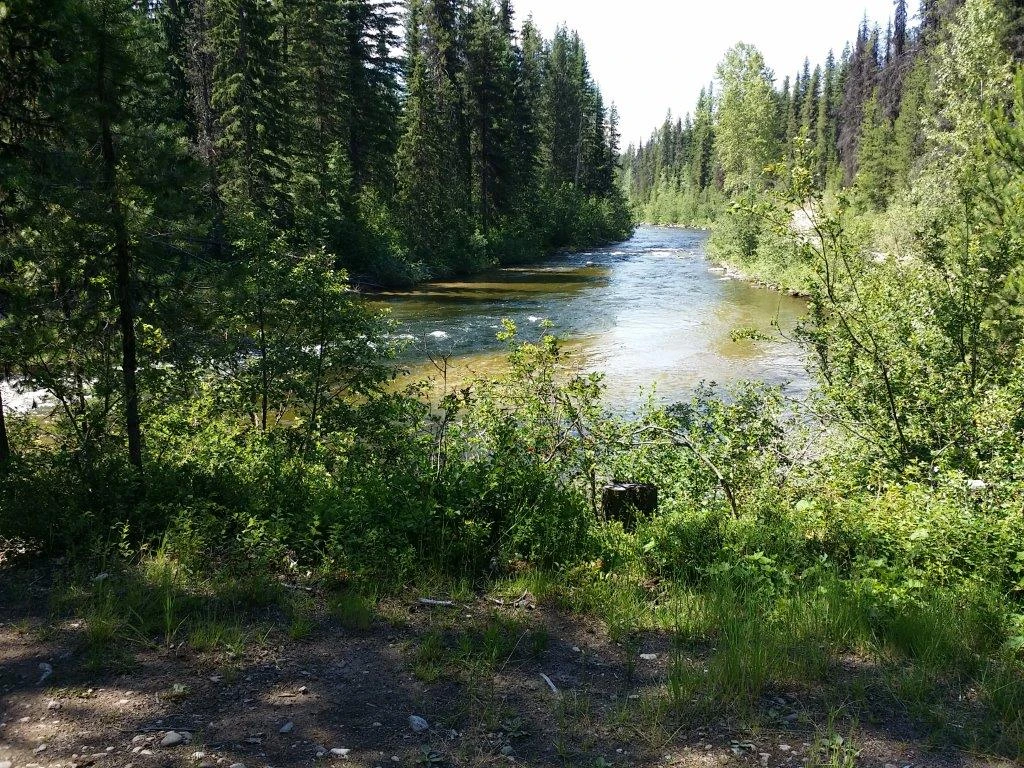 Photo: Recreation Sites and Trails BC. © Province of British Columbia, licensed under the Open Government Licence – British Columbia. Sandy Bend, photo 3