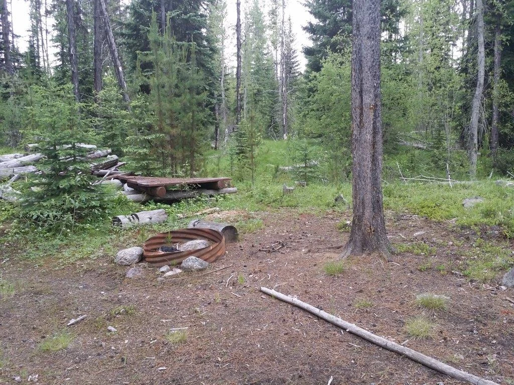 Photo: Recreation Sites and Trails BC. © Province of British Columbia, licensed under the Open Government Licence – British Columbia. Maloney Lake, photo 2