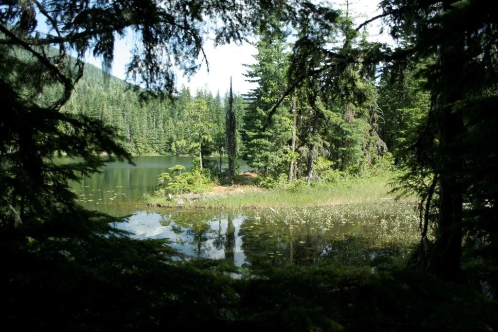 Photo: Recreation Sites and Trails BC. © Province of British Columbia, licensed under the Open Government Licence – British Columbia. Echo Lake, photo 1