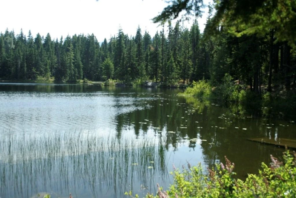 Photo: Recreation Sites and Trails BC. © Province of British Columbia, licensed under the Open Government Licence – British Columbia. Echo Lake, photo 5