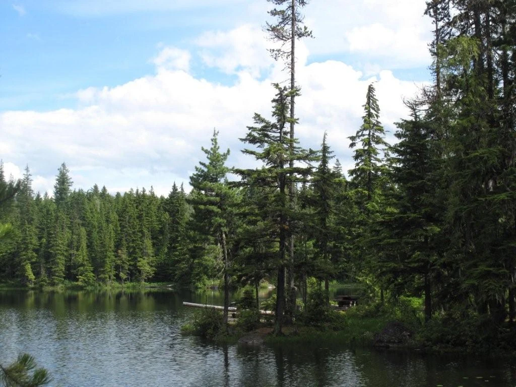 Photo: Recreation Sites and Trails BC. © Province of British Columbia, licensed under the Open Government Licence – British Columbia. Echo Lake, photo 6