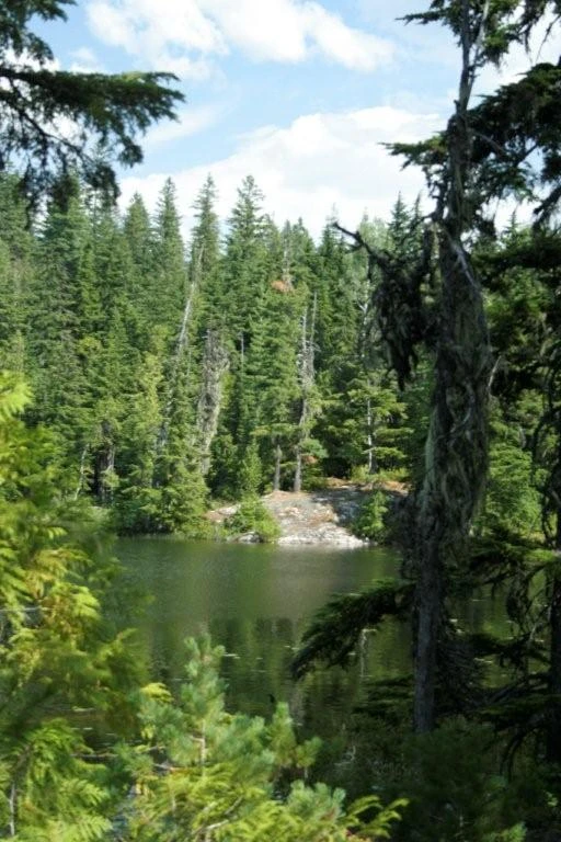 Photo: Recreation Sites and Trails BC. © Province of British Columbia, licensed under the Open Government Licence – British Columbia. Echo Lake, photo 4