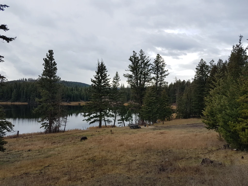 Photo: Recreation Sites and Trails BC. © Province of British Columbia, licensed under the Open Government Licence – British Columbia. Beautiful Lake, photo 4
