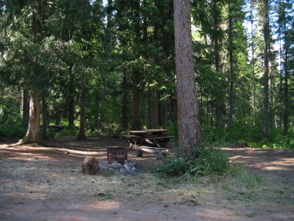 Photo: Recreation Sites and Trails BC. © Province of British Columbia, licensed under the Open Government Licence – British Columbia. Canyon Creek, photo 4