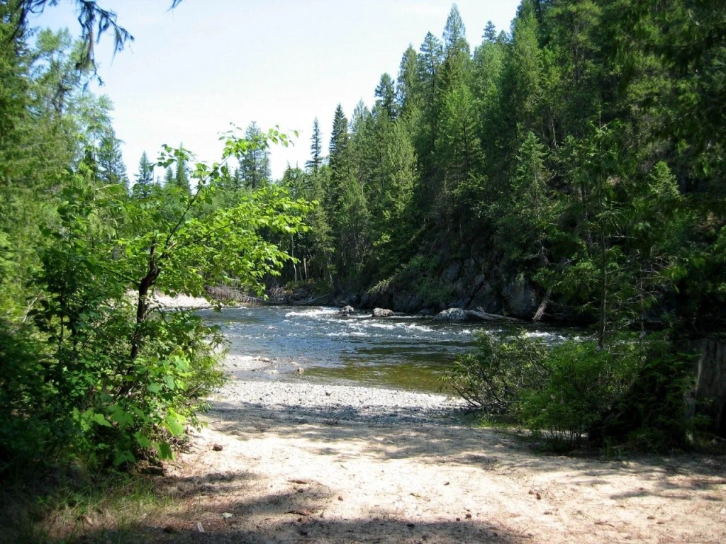 Photo: Recreation Sites and Trails BC. © Province of British Columbia, licensed under the Open Government Licence – British Columbia. Canyon Creek, photo 2