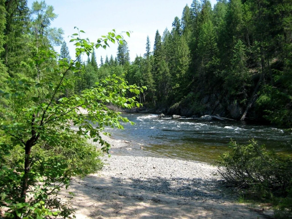 Photo: Recreation Sites and Trails BC. © Province of British Columbia, licensed under the Open Government Licence – British Columbia. Canyon Creek, photo 3